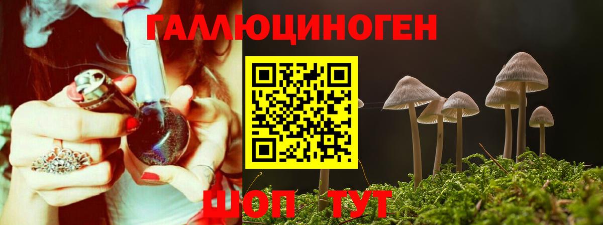 Псилоцибиновые грибы прущие грибы  Вход с VPN  Заинск 